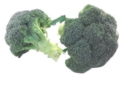 Pas d\'image pour cet article