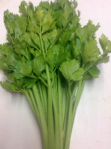 Pas d\'image pour cet article