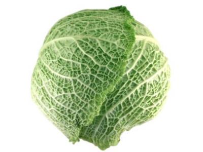 Pas d\'image pour cet article