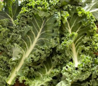 Pas d\'image pour cet article