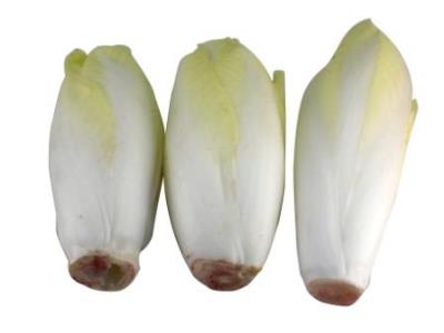 Pas d\'image pour cet article