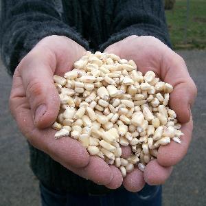 Pas d\'image pour cet article