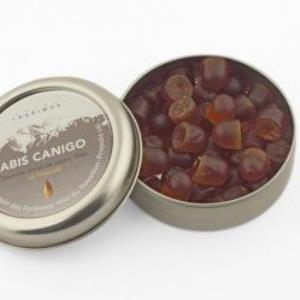 Pas d\'image pour cet article