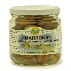 Pas d\'image pour cet article