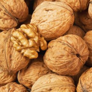 Pas d\'image pour cet article