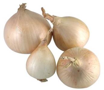 Pas d\'image pour cet article