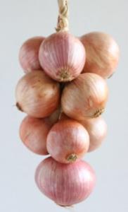 Pas d\'image pour cet article