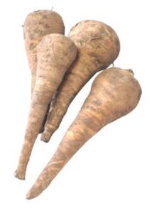 Pas d\'image pour cet article