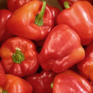 Pas d\'image pour cet article