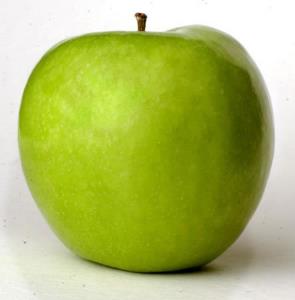 Pas d\'image pour cet article