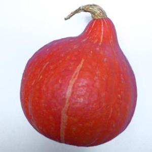 Pas d\'image pour cet article