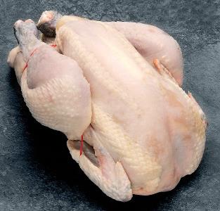 Pas d\'image pour cet article