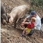 Pas d\'image pour cet article