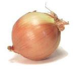 Pas d\'image pour cet article