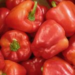 Pas d\'image pour cet article