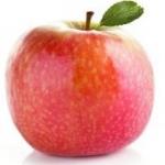 Pas d\'image pour cet article