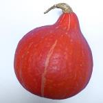 Pas d\'image pour cet article