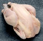 Pas d\'image pour cet article